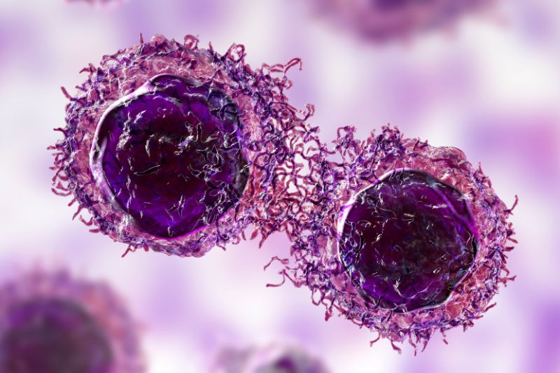 Você sabe o que são as células de Merkel?